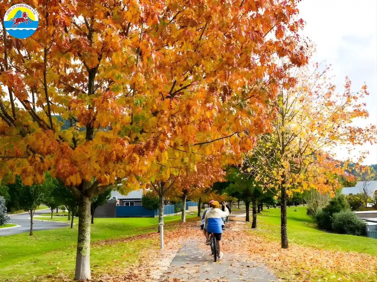 mùa thu nước Úc