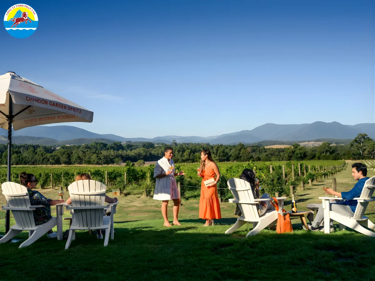 Thưởng thức rượu vang