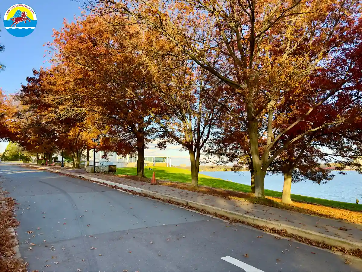 mùa thu nước Úc