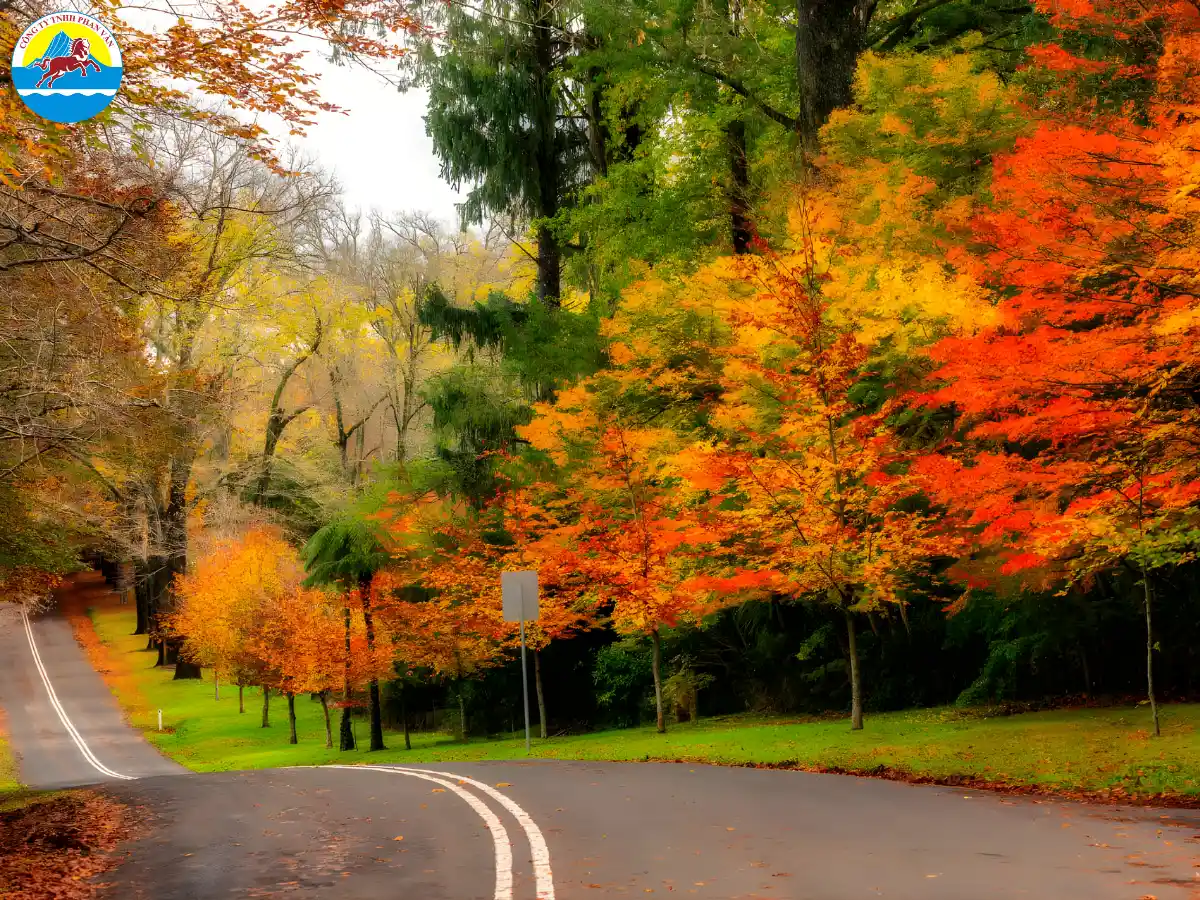 mùa thu nước Úc