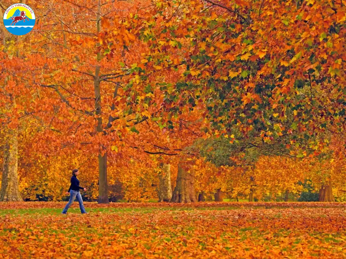 Công viên Hyde Park