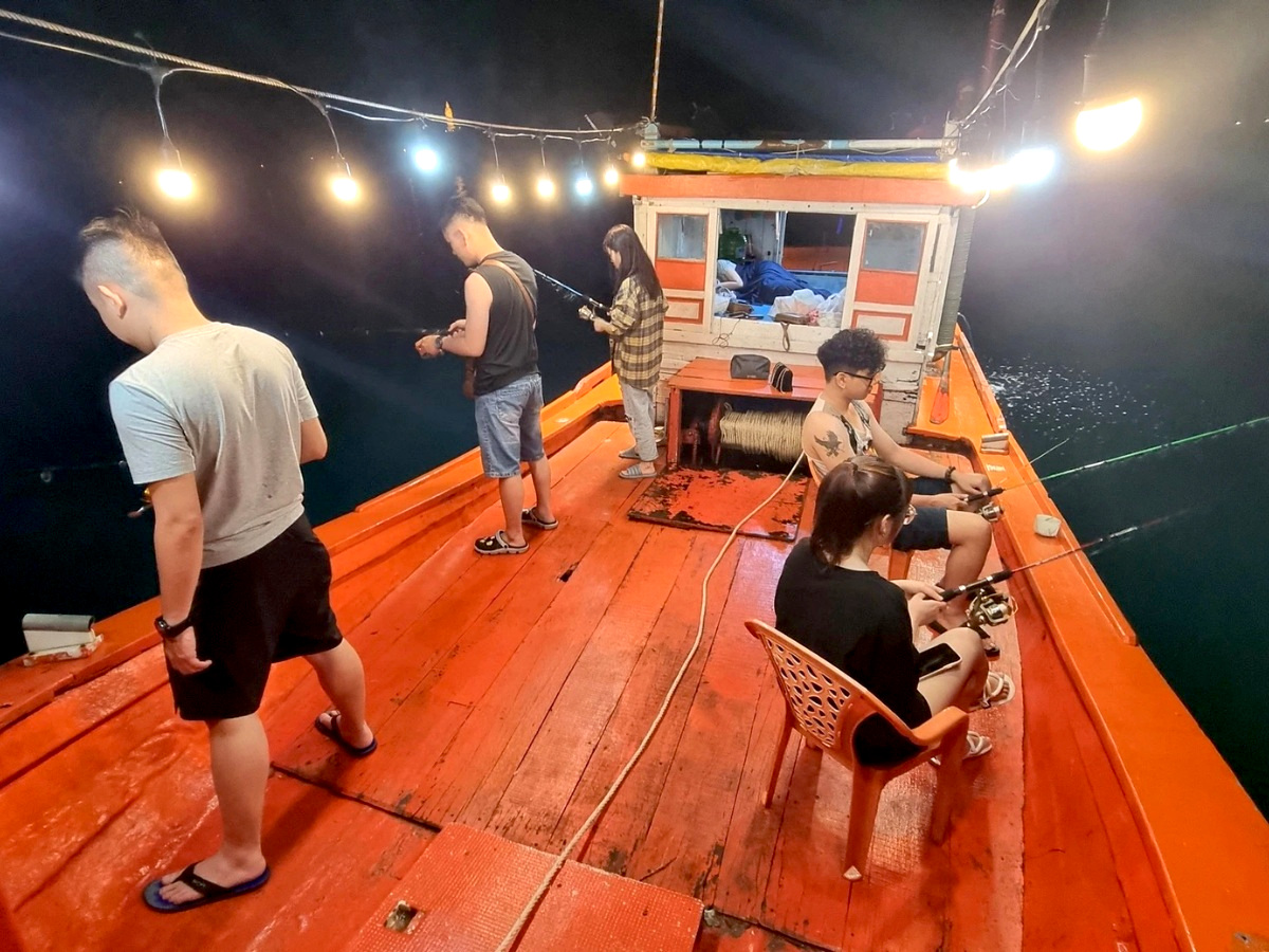 Tour câu mực đêm Đà Nẵng thuê tàu riêng