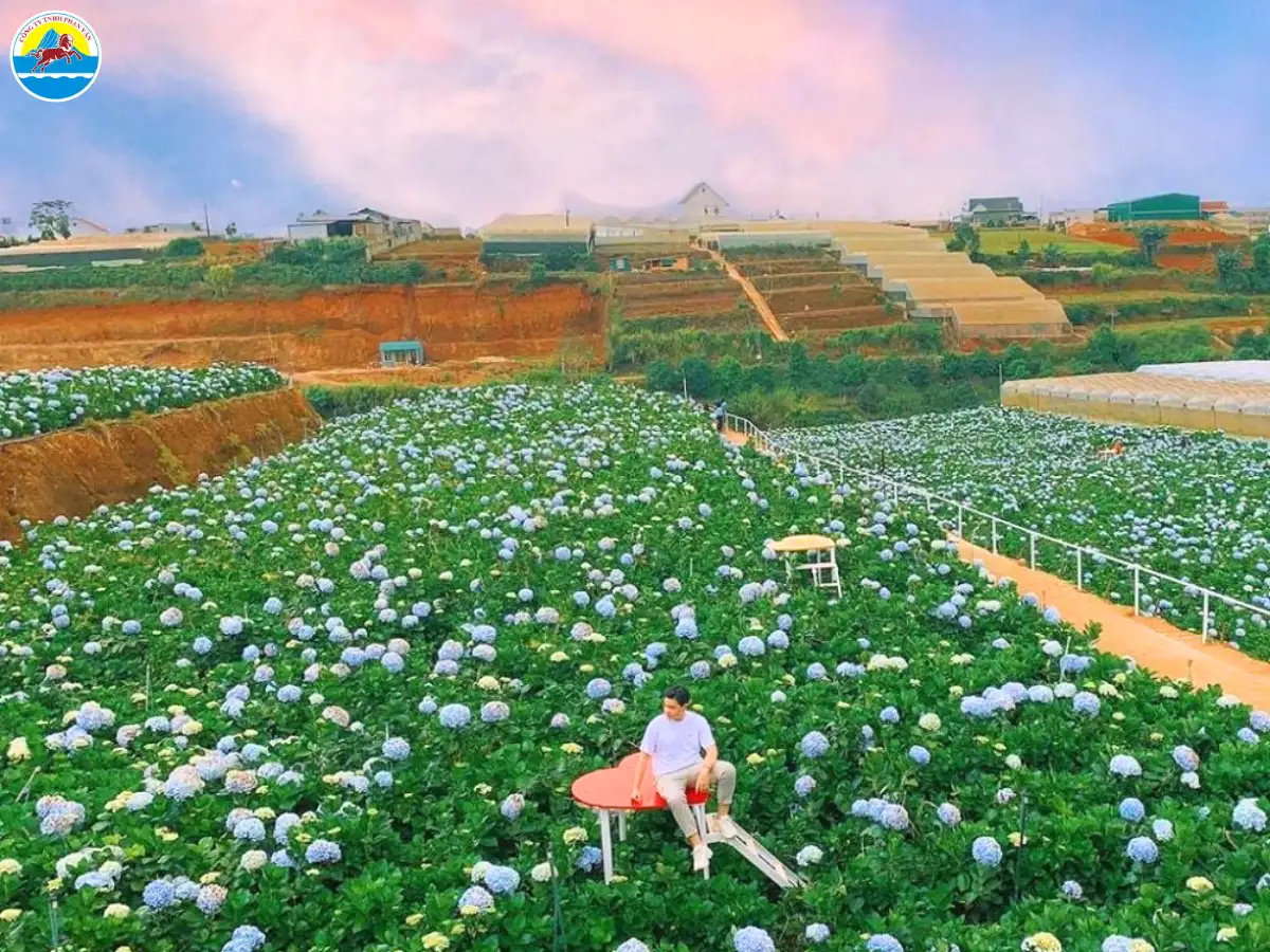 đà lạt vào mùa xuân