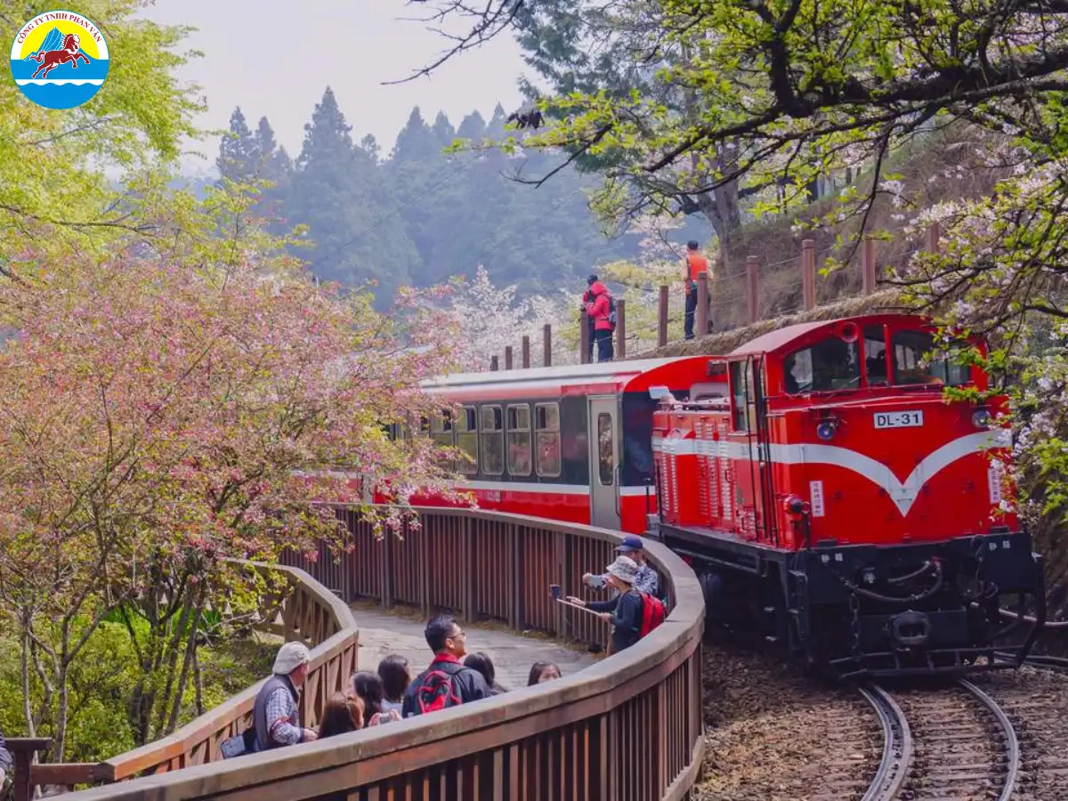 Phan Văn Travel chuyên cung cấp các tour du lịch Đài Loan trọn gói