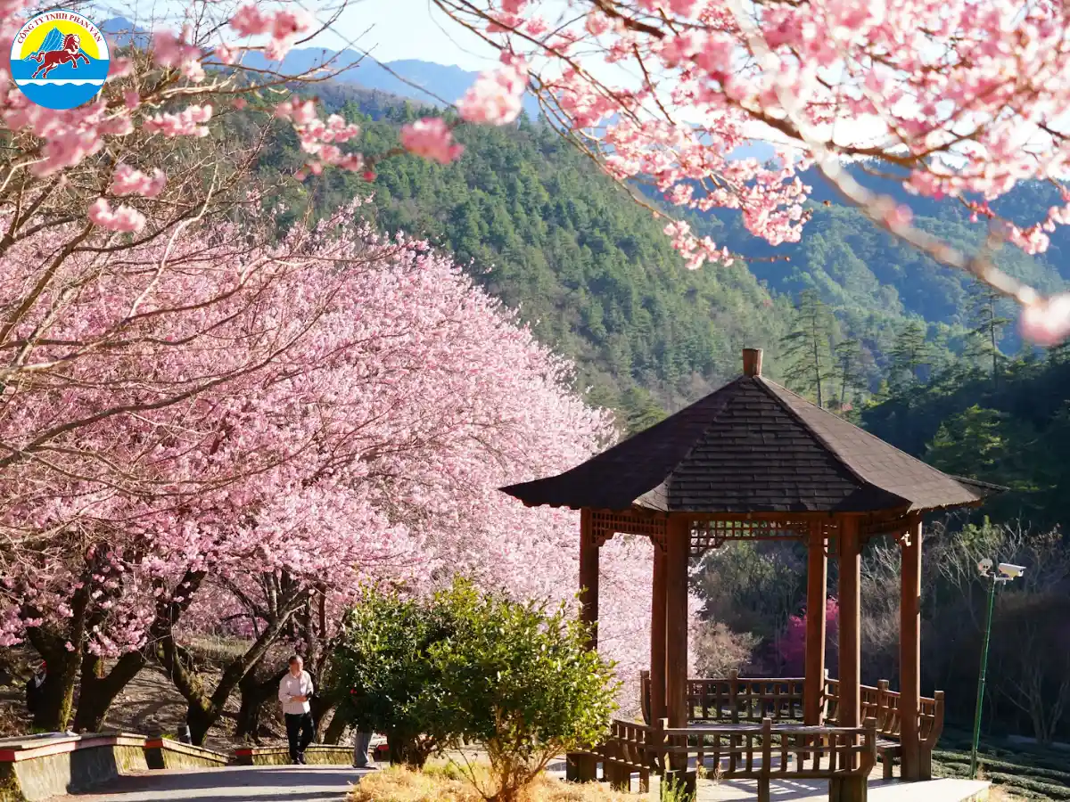 Công viên Quốc gia Dương Minh Sơn