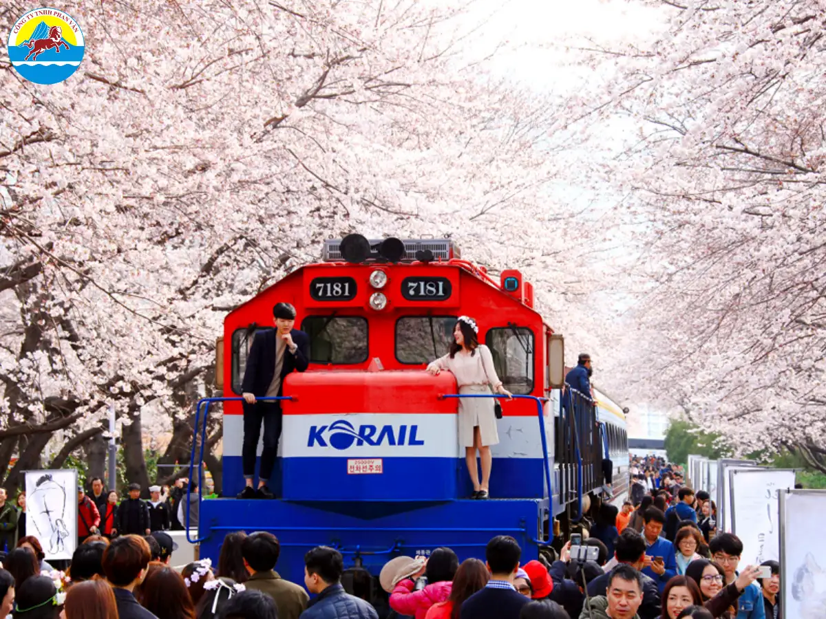 Lễ hội quân cảng Jinhae Gunhangje
