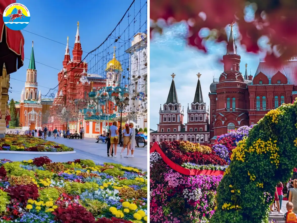 Phan Văn Travel tích lũy nhiều năm kinh nghiệm tổ chức tour chất lượng cao đến xứ sở Bạch Dương