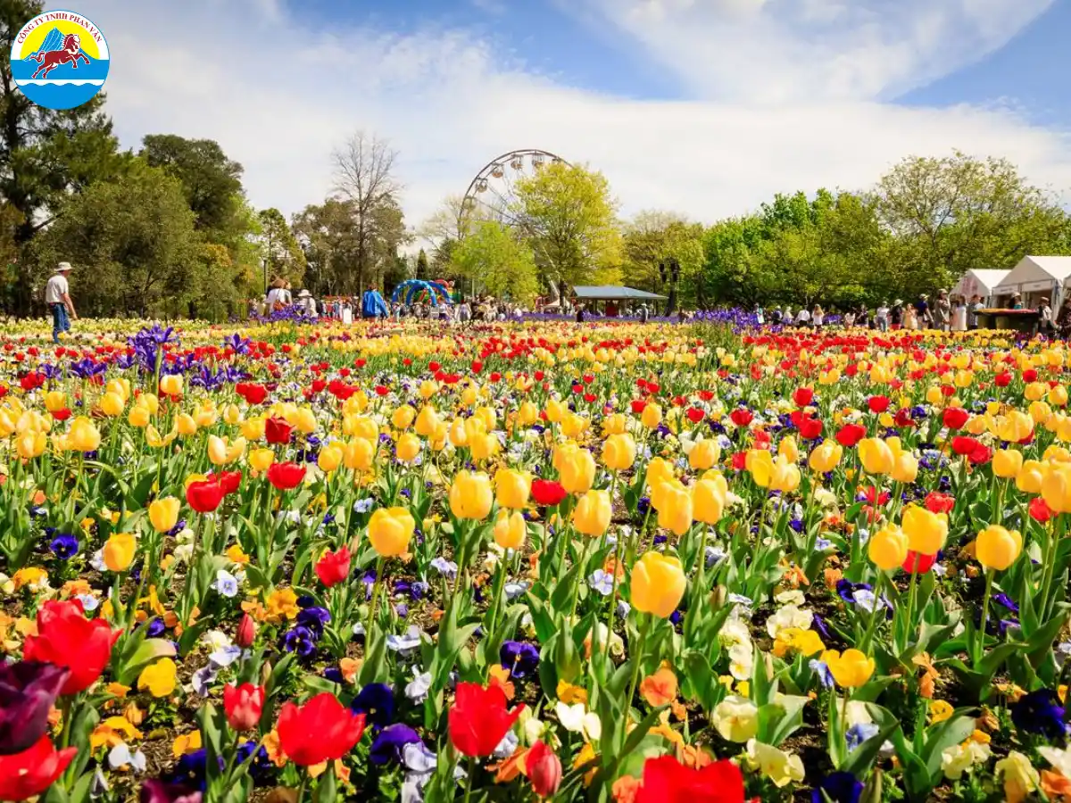 Lễ hội hoa Floriade