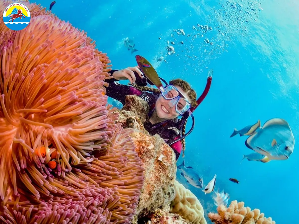Lặn biển tại Great Barrier Reef