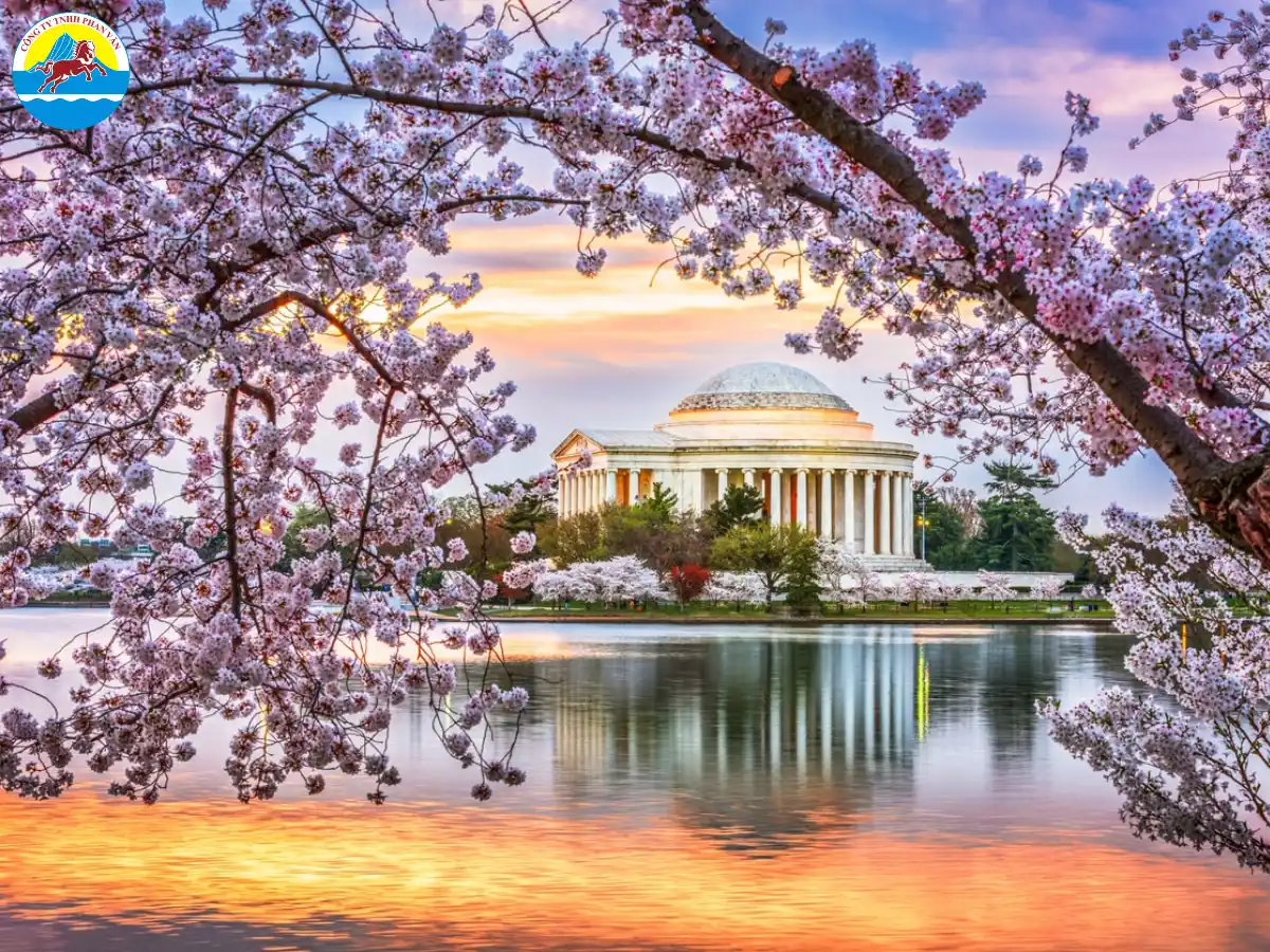 Washington D.C