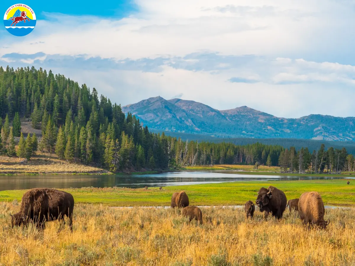 Vườn quốc gia Yellowstone