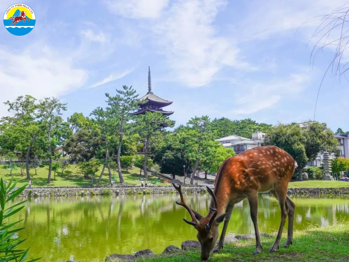 Khu Phố Cổ Naramachi