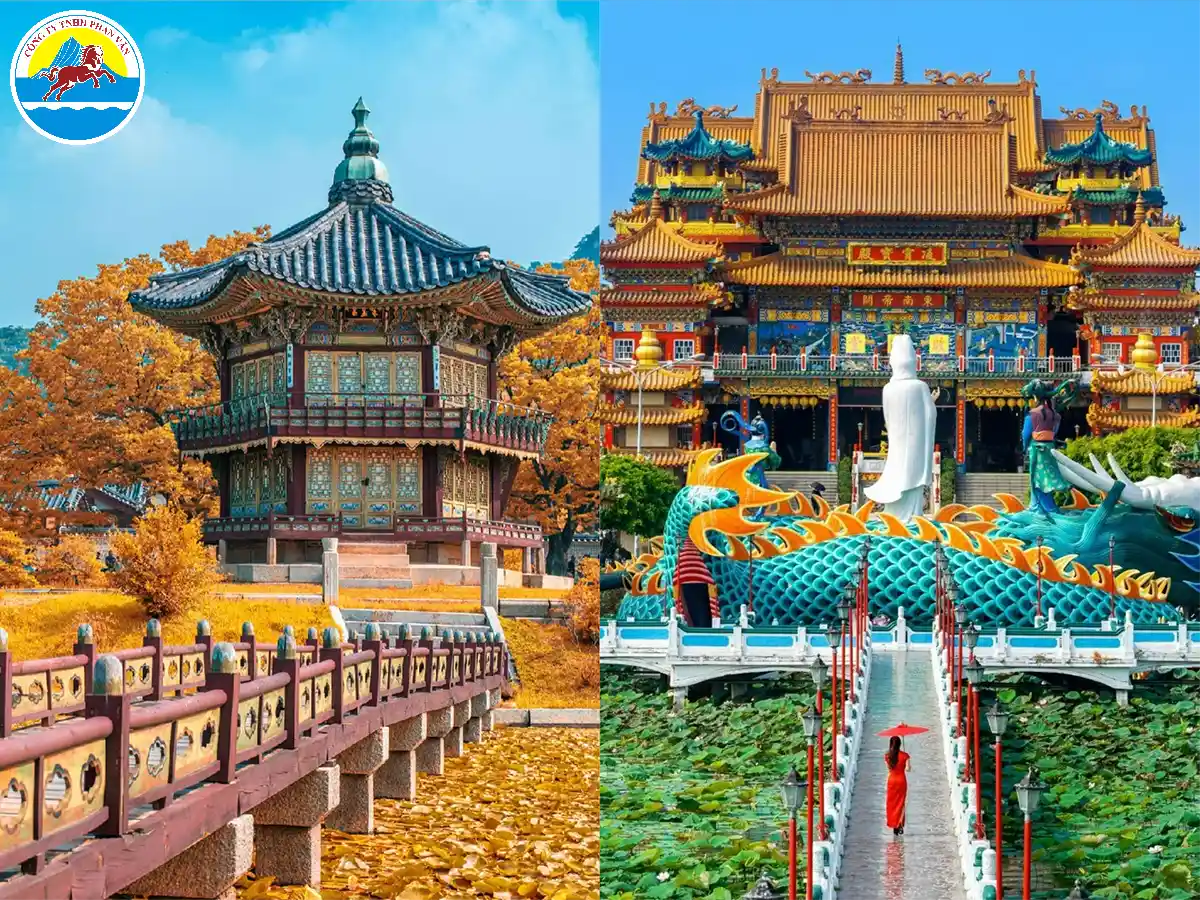 Phan Văn Travel mang đến trải nghiệm trọn vẹn, đảm bảo mỗi hành trình đều suôn sẻ và đáng nhớ