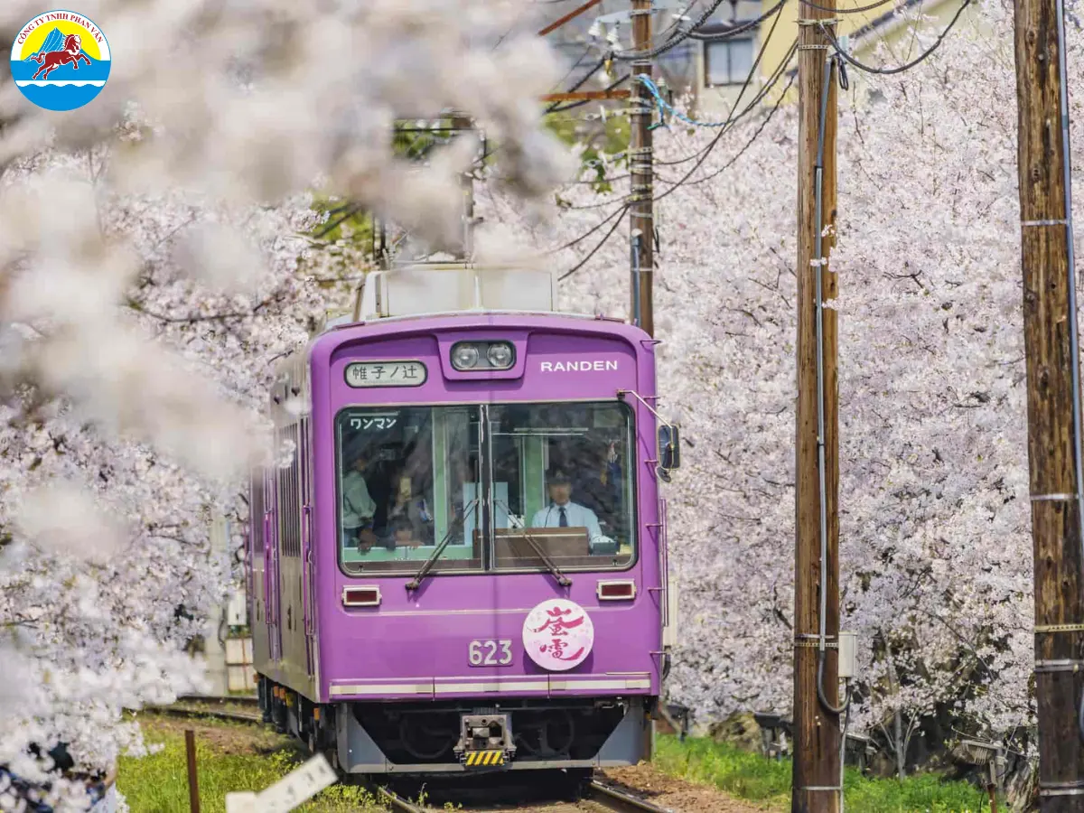 Tàu điện ngầm và tàu cao tốc (Shinkansen) là các lựa chọn hàng đầu