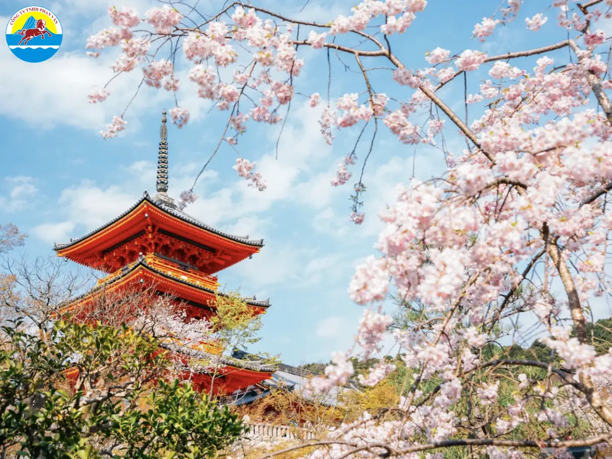 Phan Văn Travel có kinh nghiệm tổ chức các tour du lịch Nhật Bản cao cấp