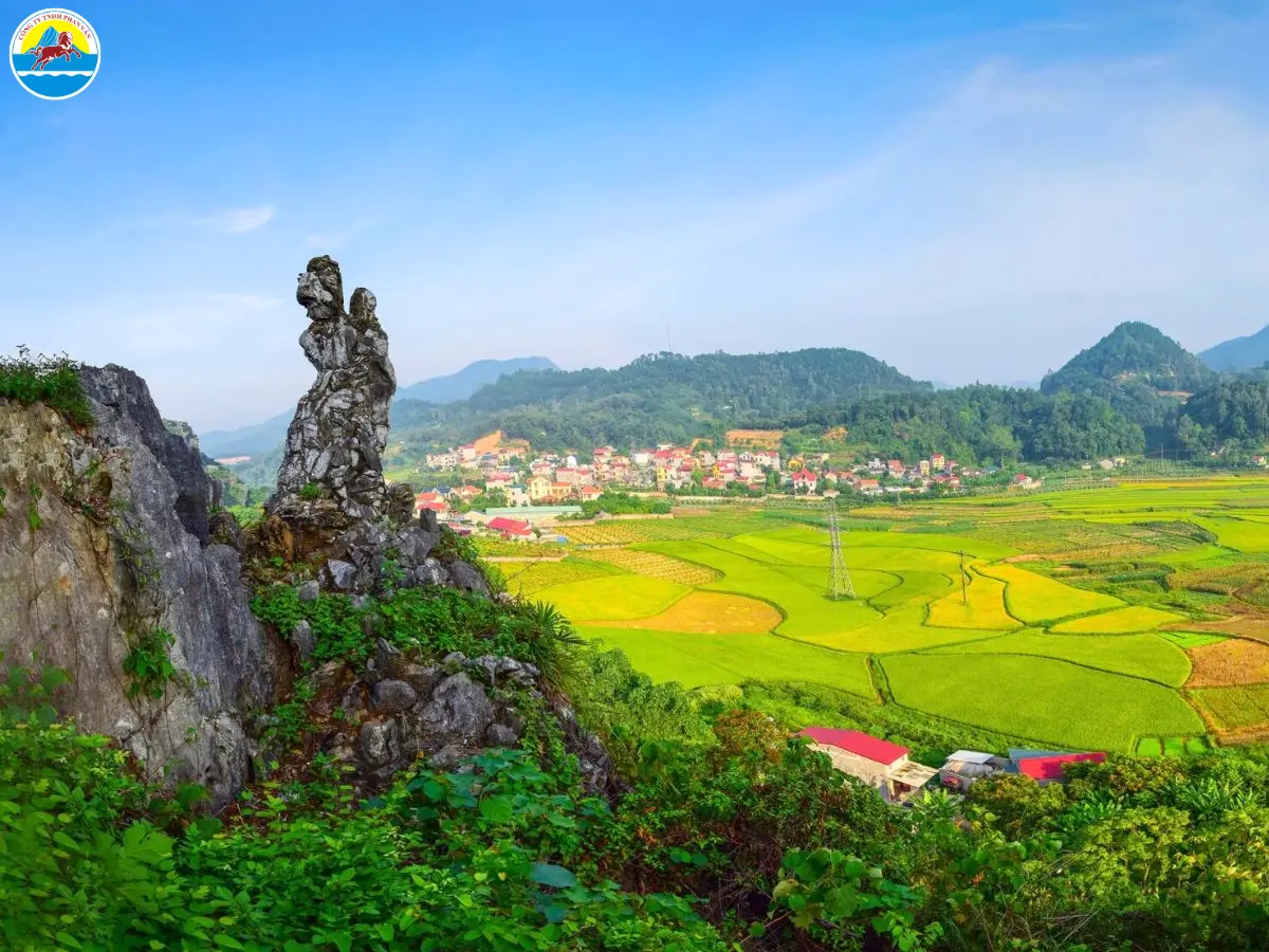 phù cát bình định có gì​