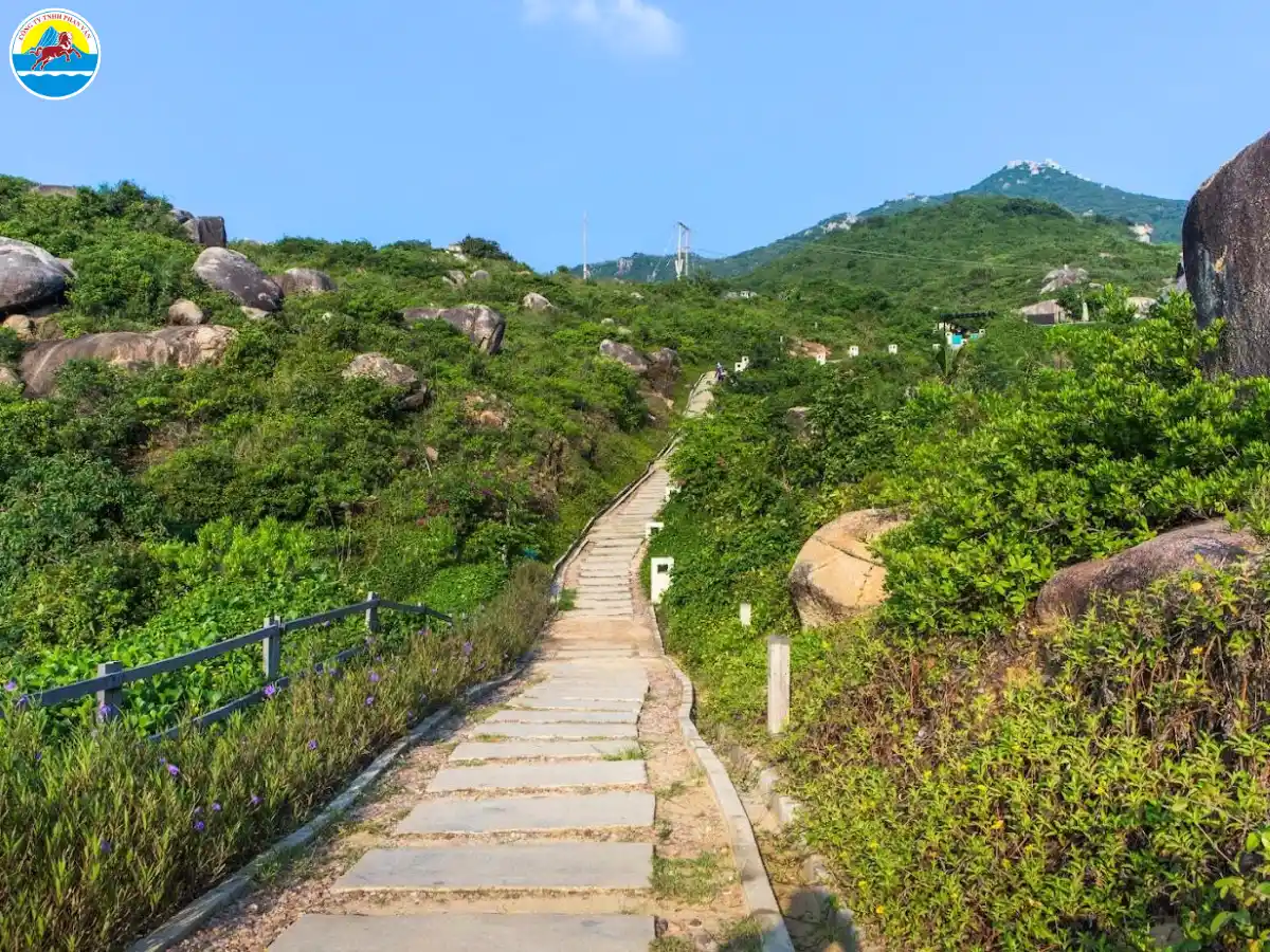 du lịch phù cát bình định
