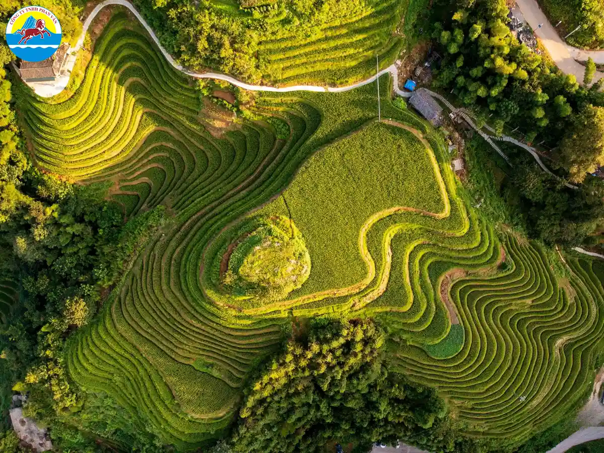 Ruộng bậc thang Long Tích