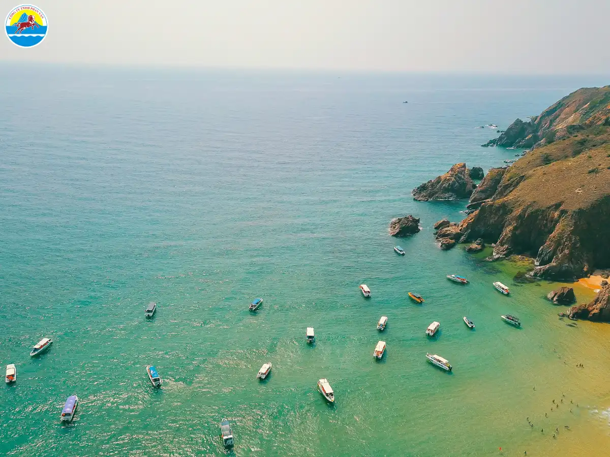 đi quy nhơn tháng 1​