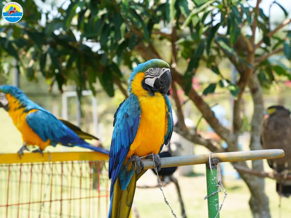 có nên đi quy nhơn tháng 1