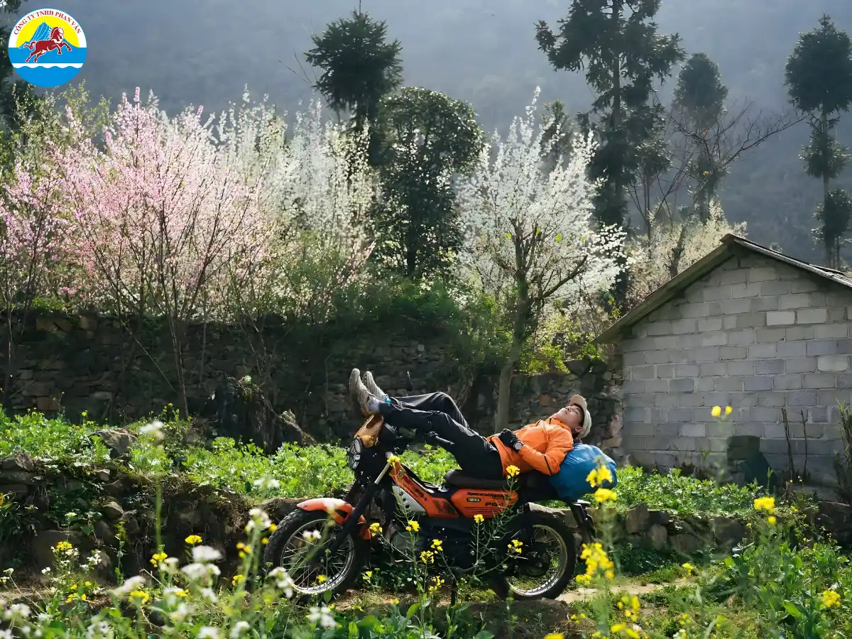 du lịch Hà Giang 2 ngày 1 đêm