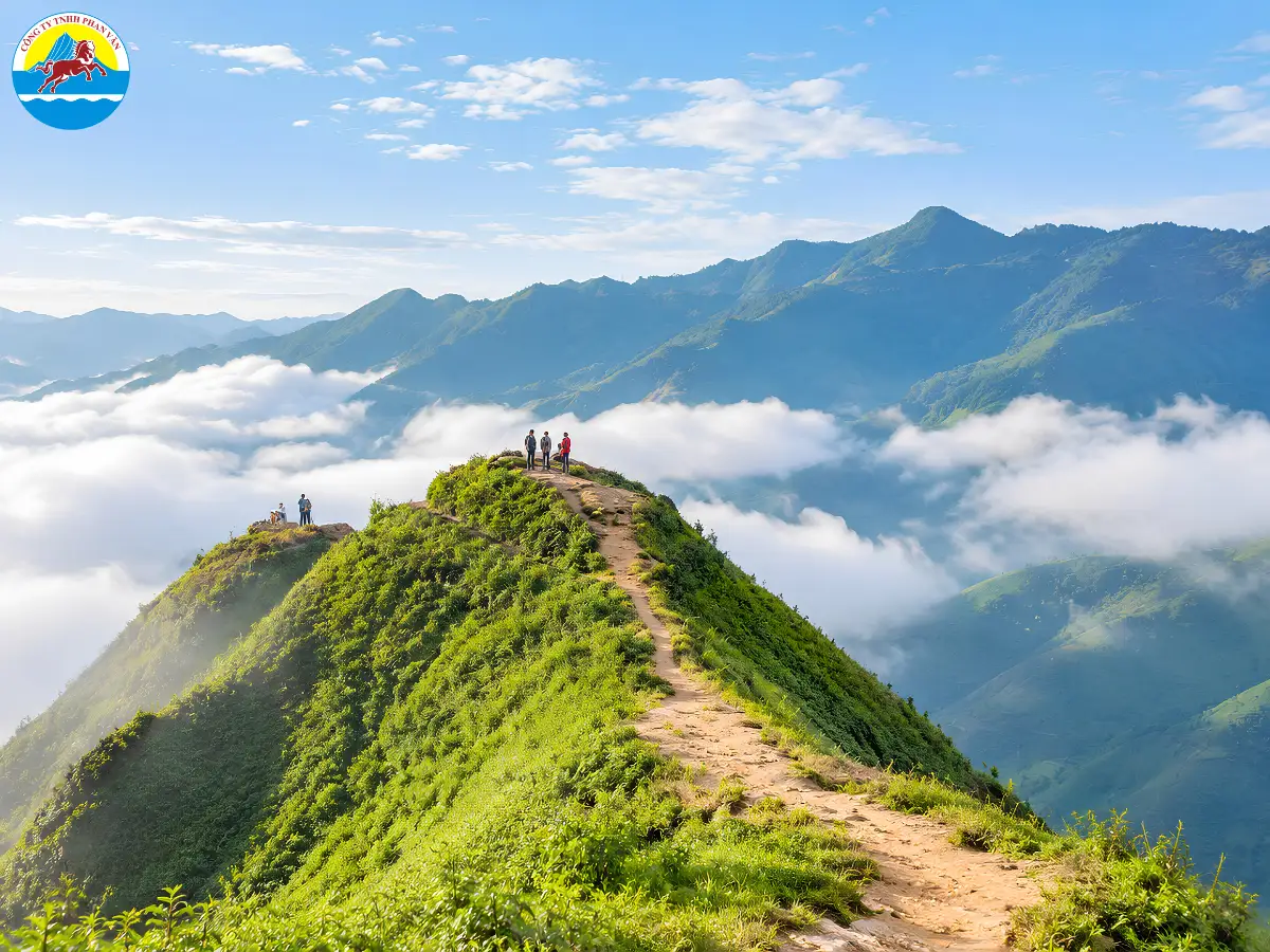 săn mây Tà Xùa