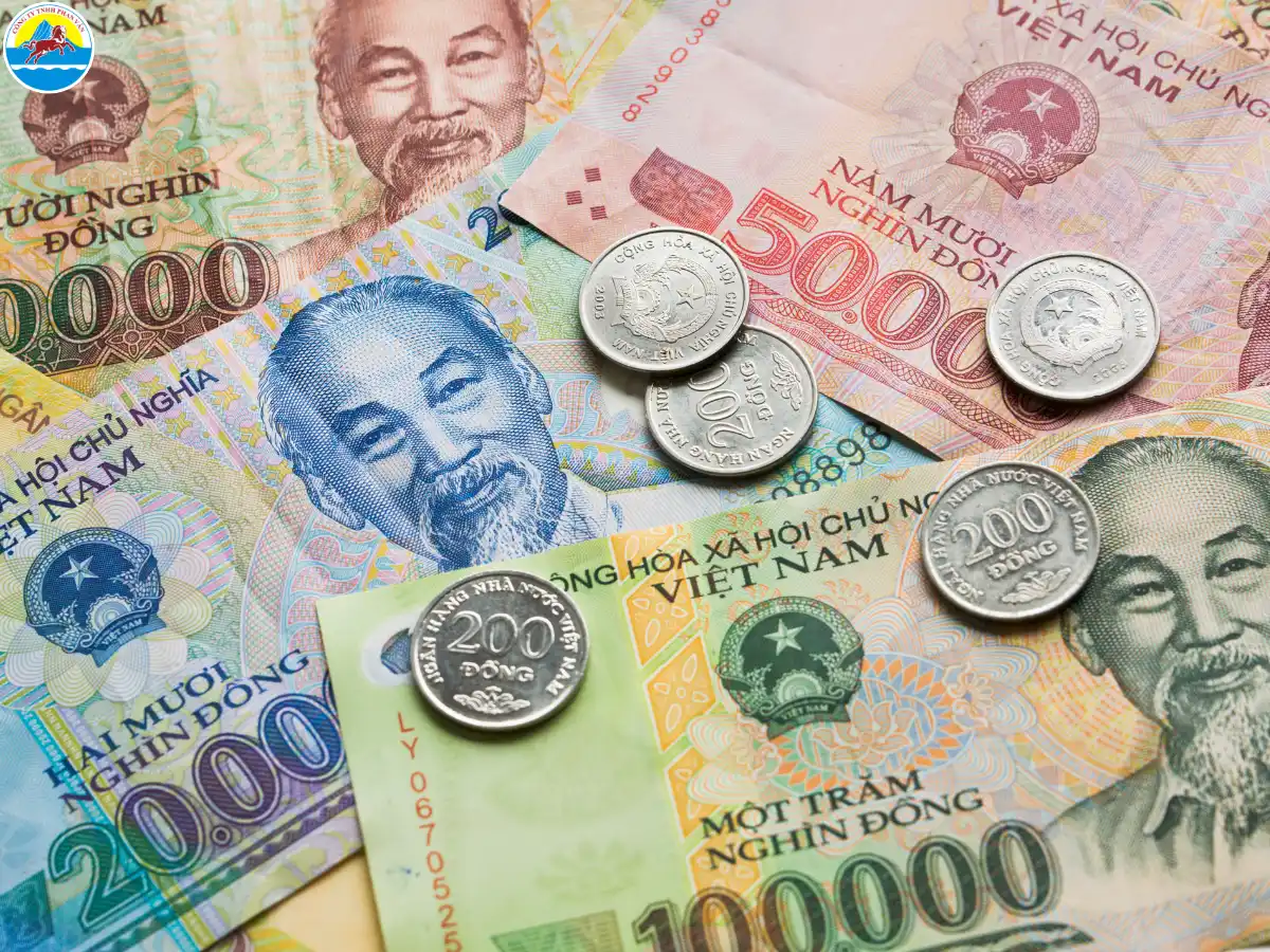 suối mơ đồng nai có gì chơi​