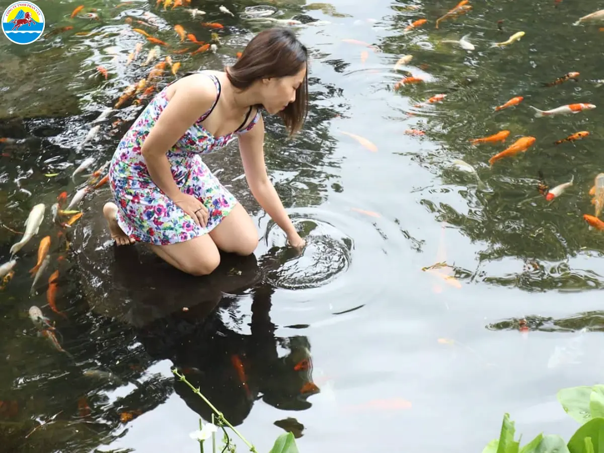 du lịch suối mơ đồng nai​