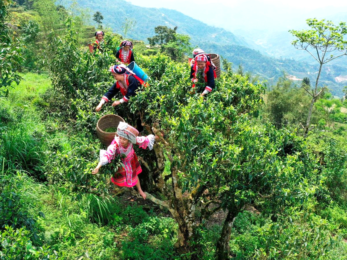 ta-xua-san-may-hanh-trinh-cham-bien-troi-trang-moi-som-mai-phan-van-travel-13