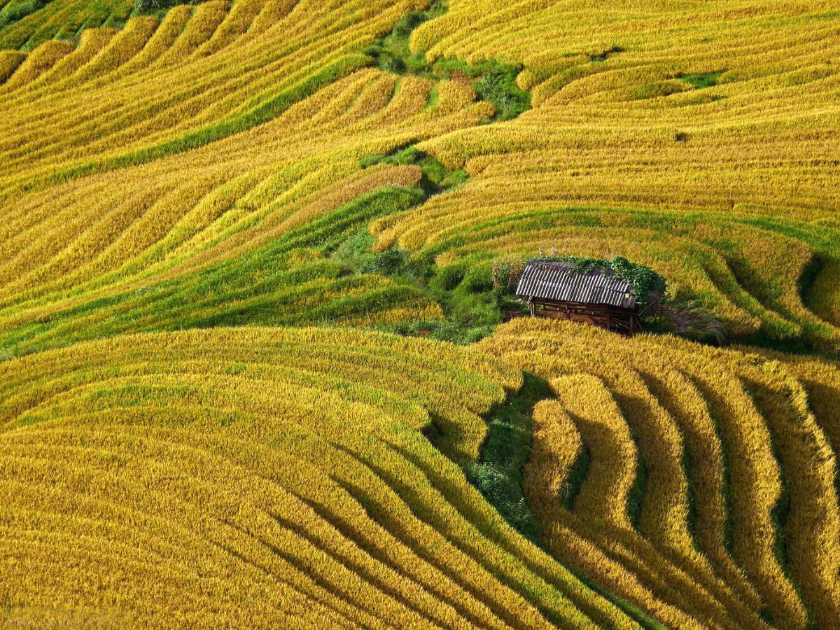 ta-xua-san-may-hanh-trinh-cham-bien-troi-trang-moi-som-mai-phan-van-travel-6