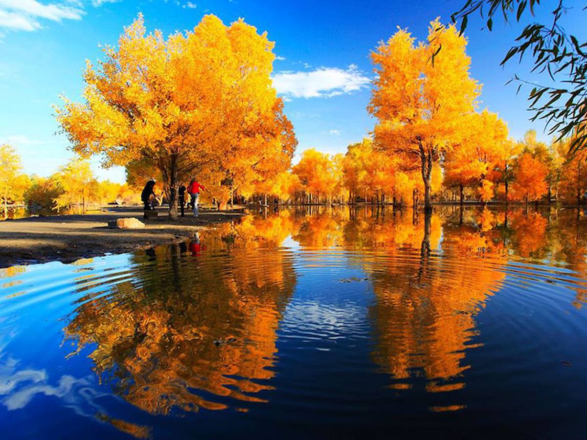 Tân Cương mùa Thu