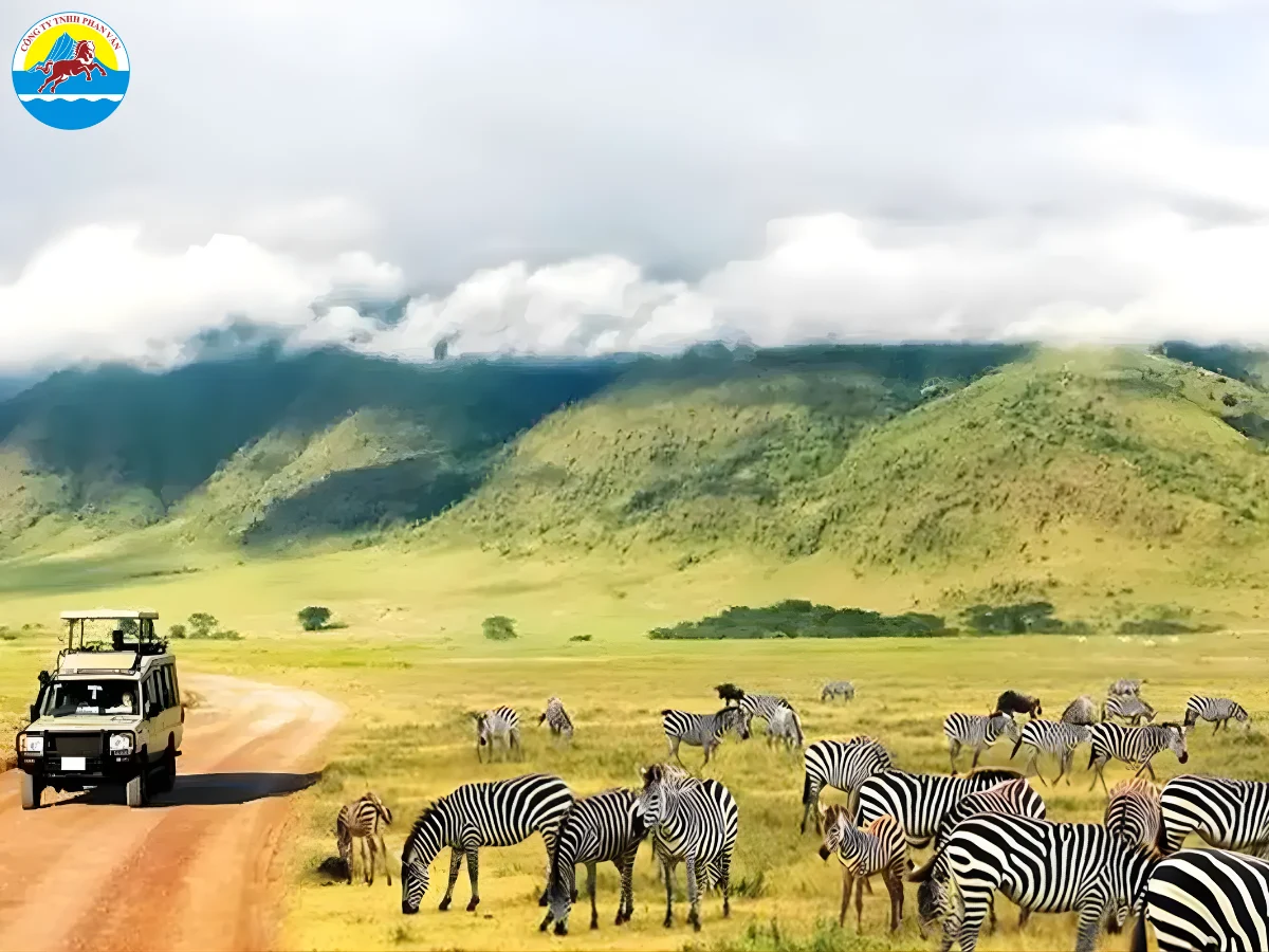 Tanzania có gì
