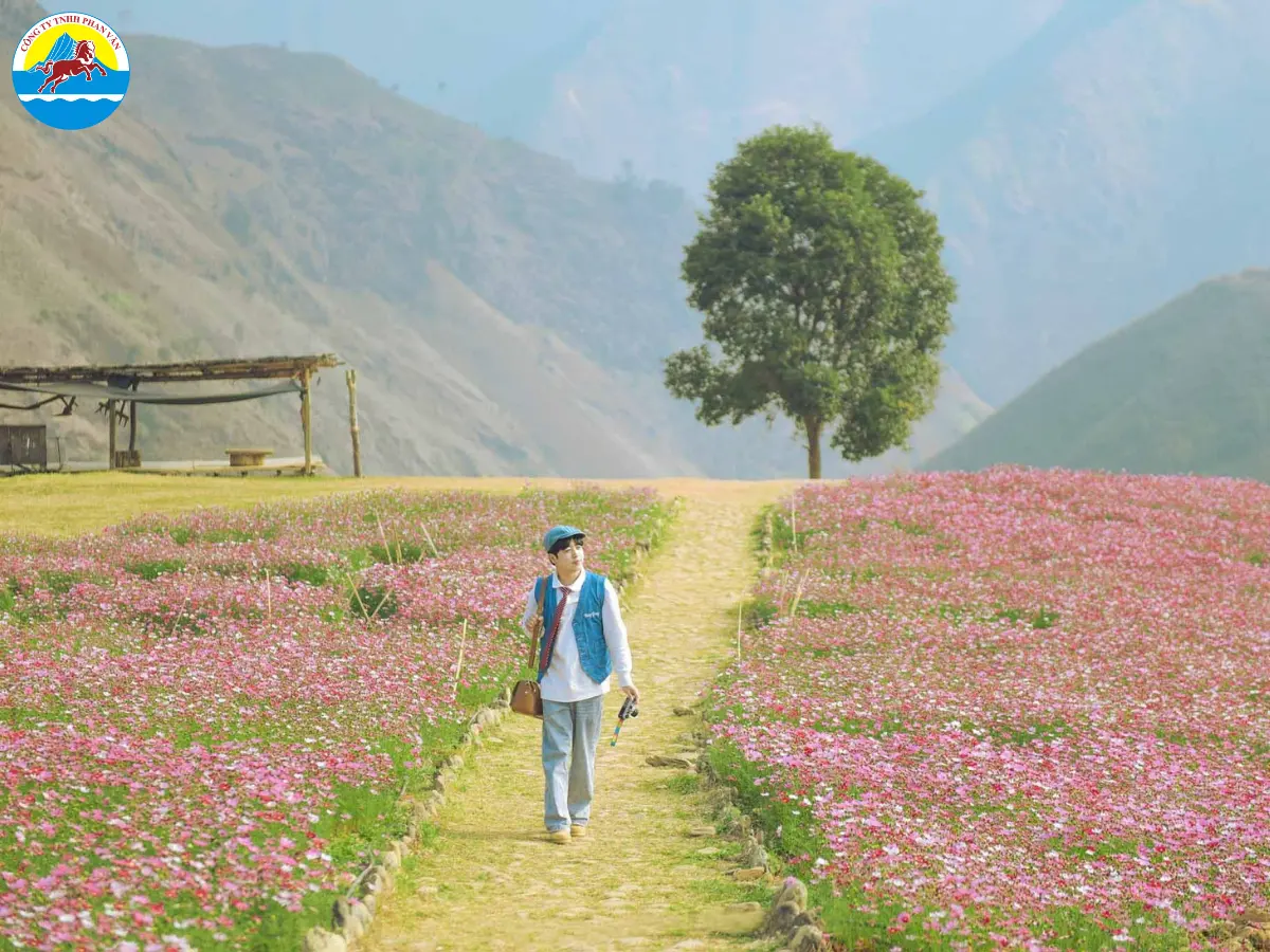 Tết Nguyên Đán rơi vào cuối đông - đầu xuân, thời tiết miền Bắc mát mẻ