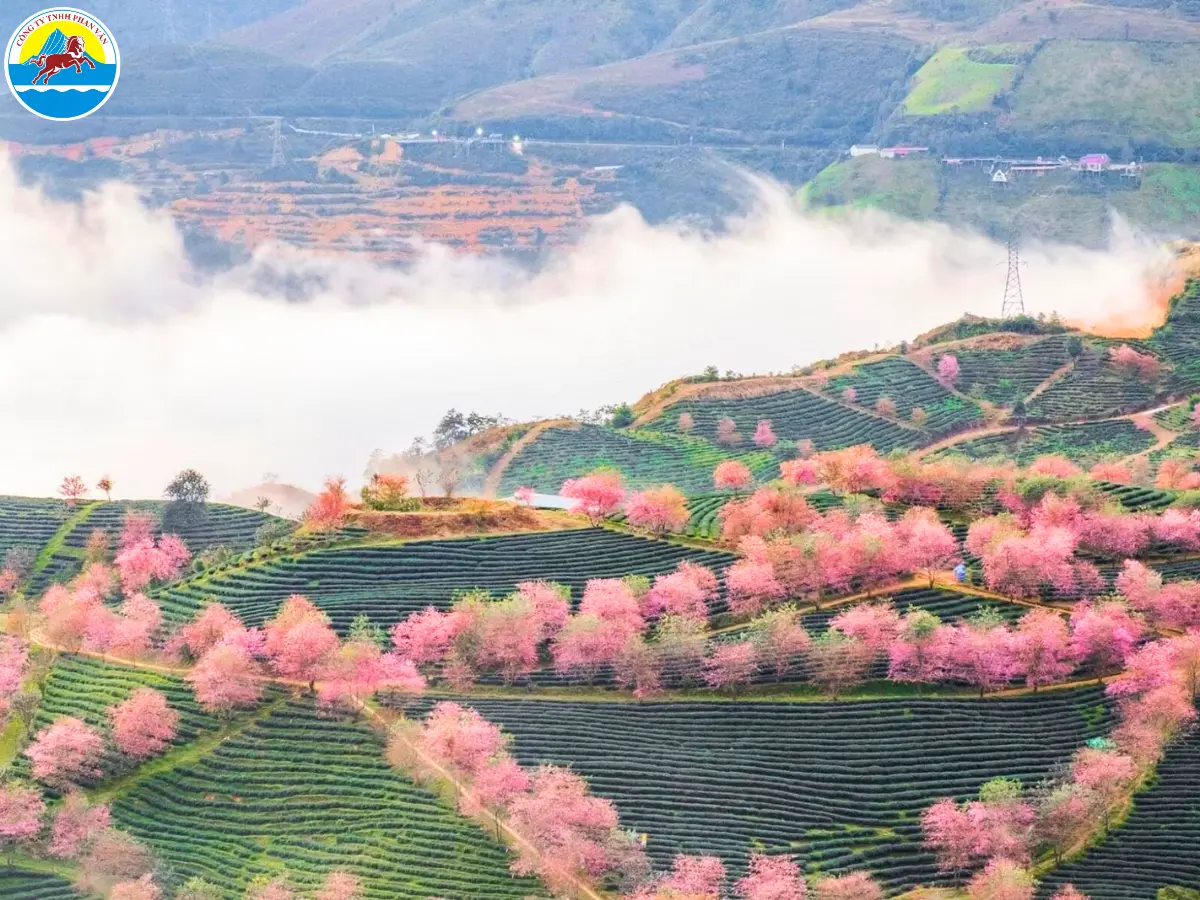 tháng 1 du lịch ở đâu