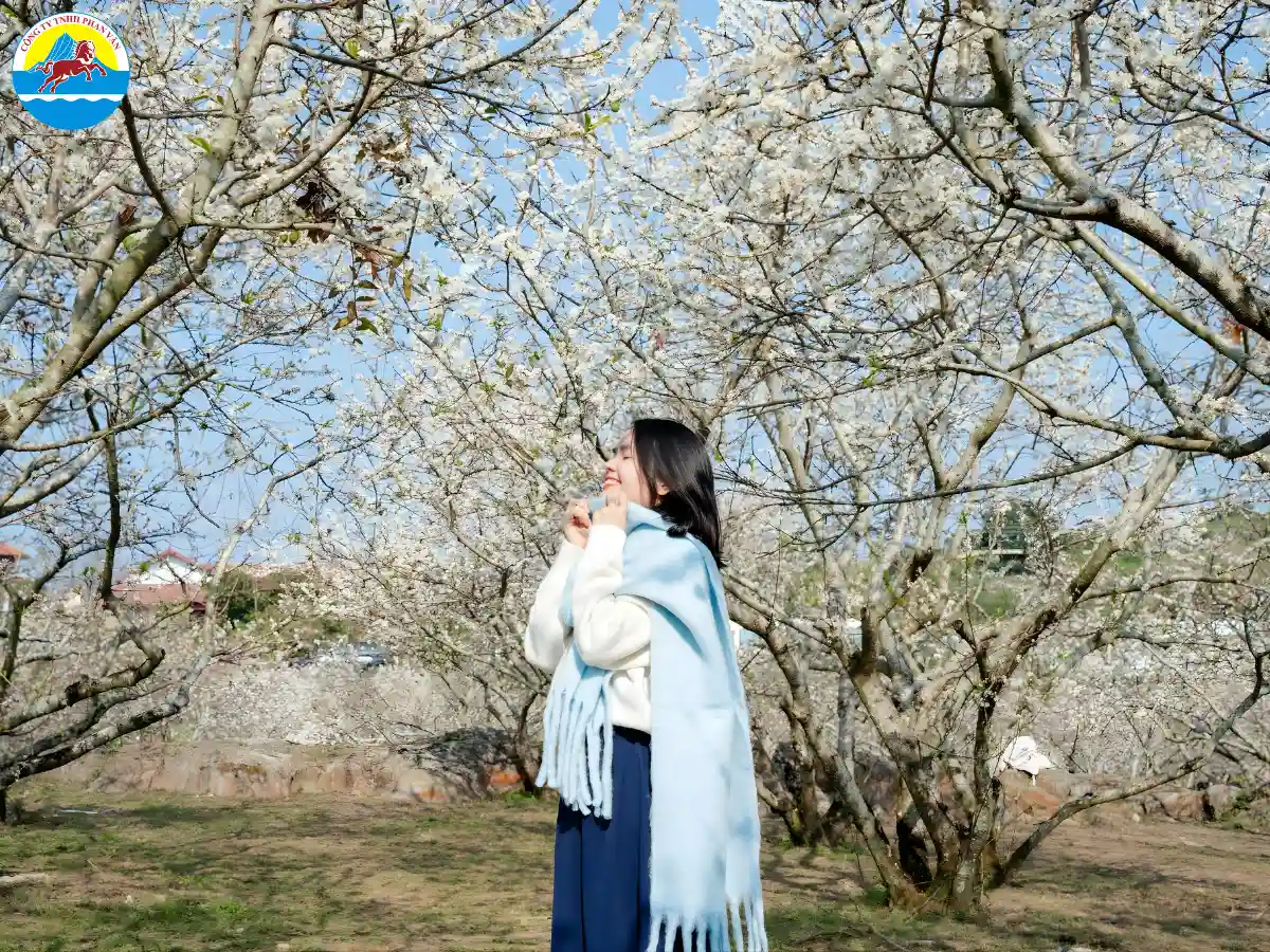 tháng 10 du lịch ở đâu miền Bắc​