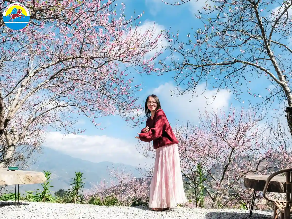 tháng 10 du lịch ở đâu miền Bắc​