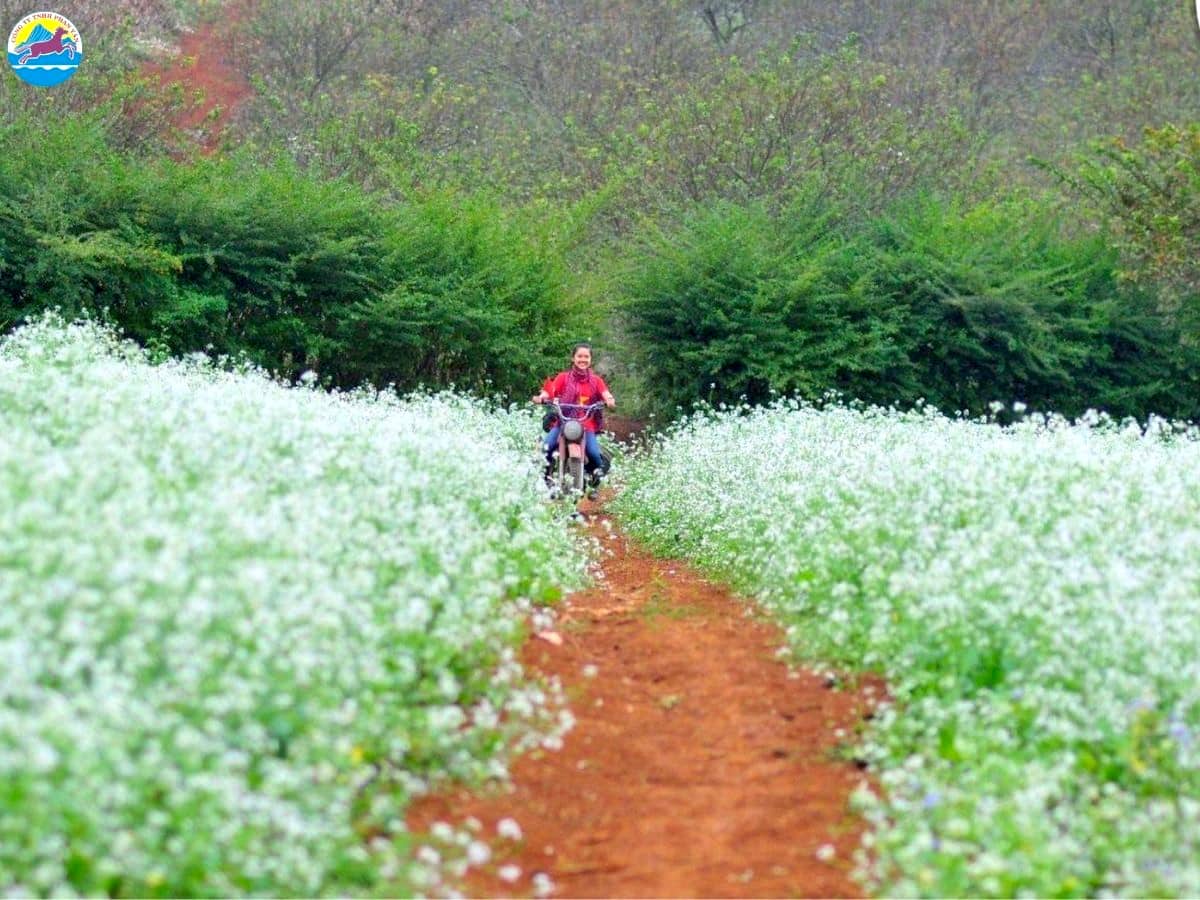địa điểm du lịch miền bắc tháng 10​