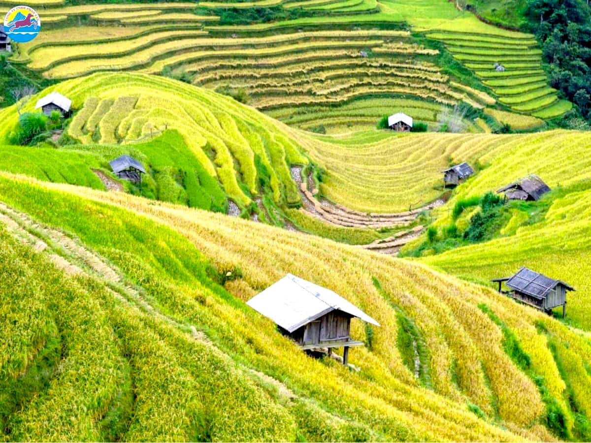 địa điểm du lịch miền bắc tháng 10​