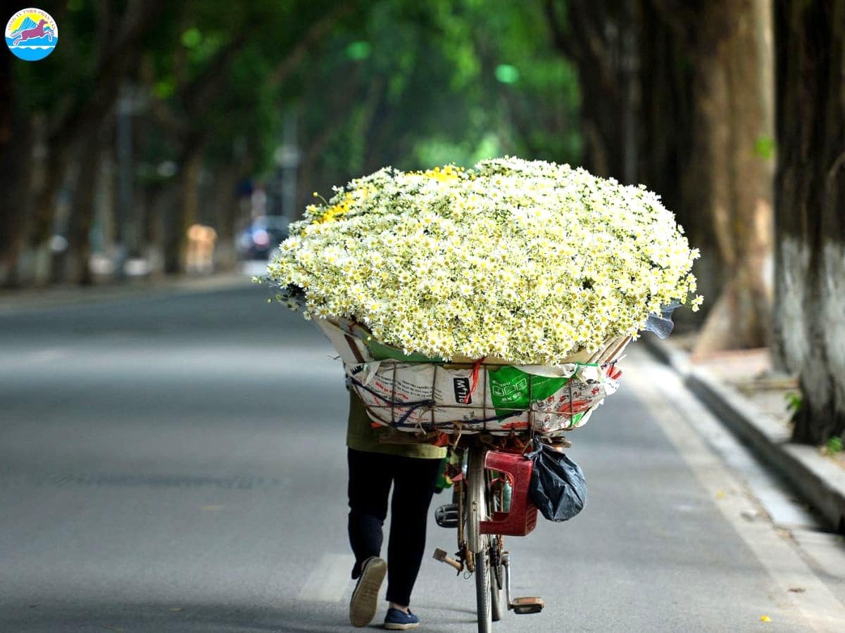 du lịch tháng 10​