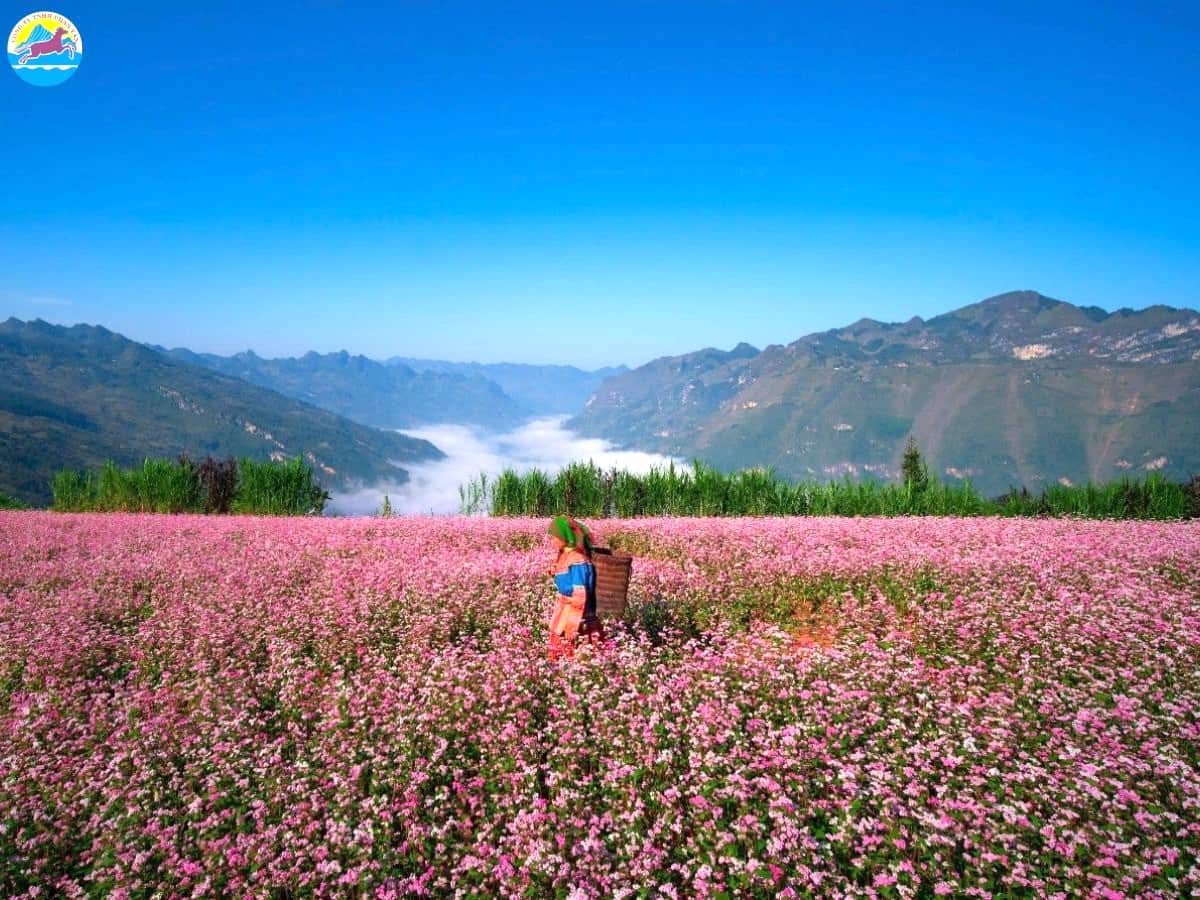 tháng 10 nên đi đâu du lịch​