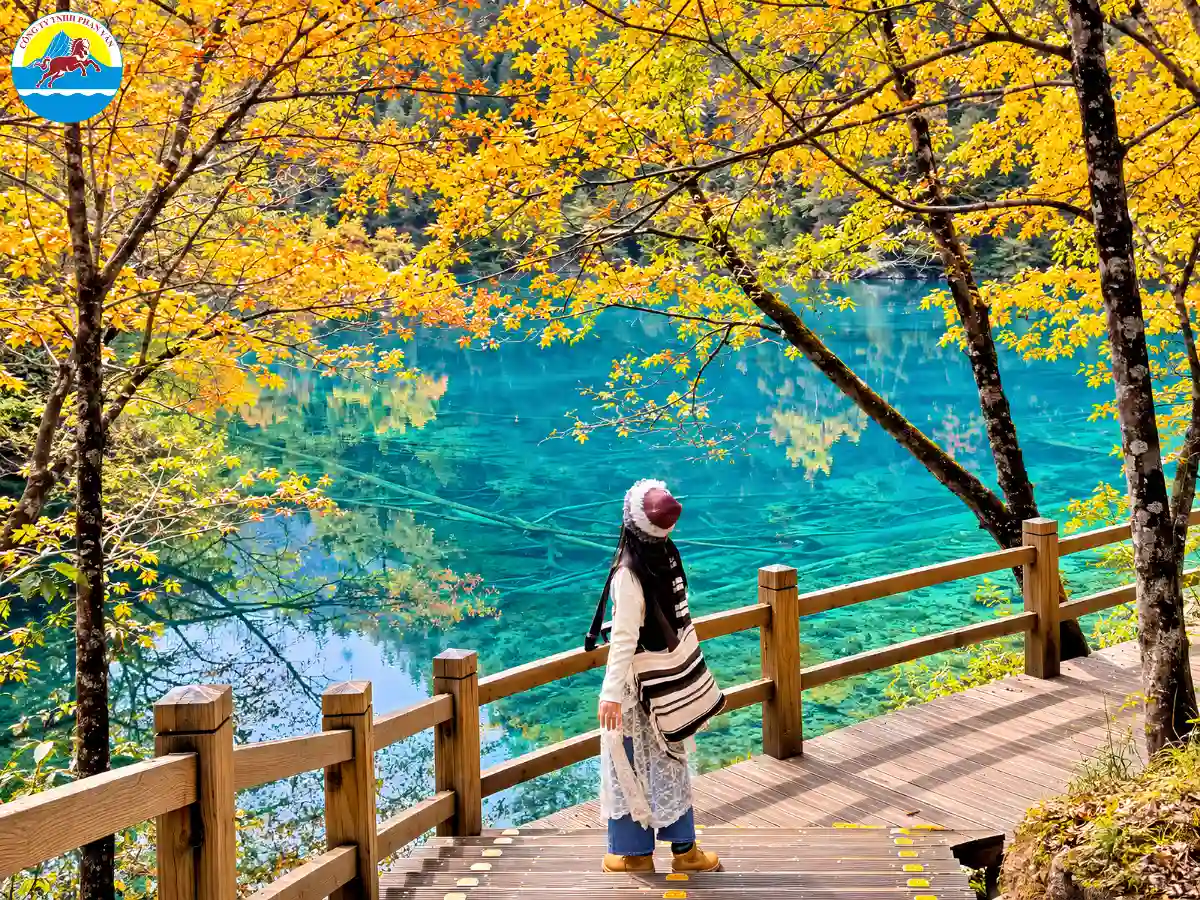 tháng 10 nên đi du lịch ở đâu