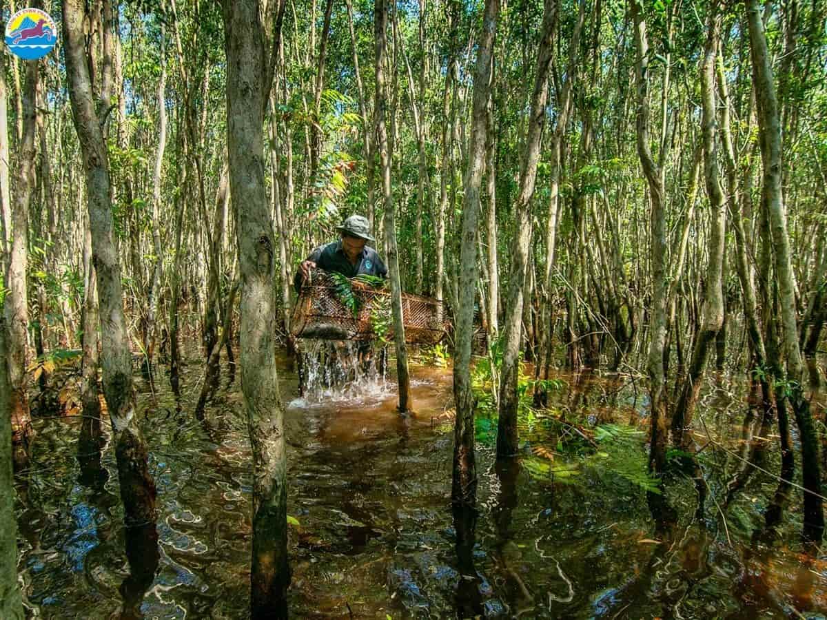 tháng 10 đi du lịch ở đâu miền nam