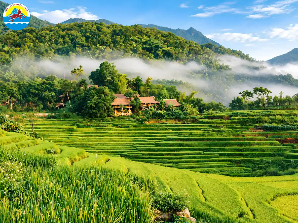 Ruộng bậc thang Pù Luông tháng 10