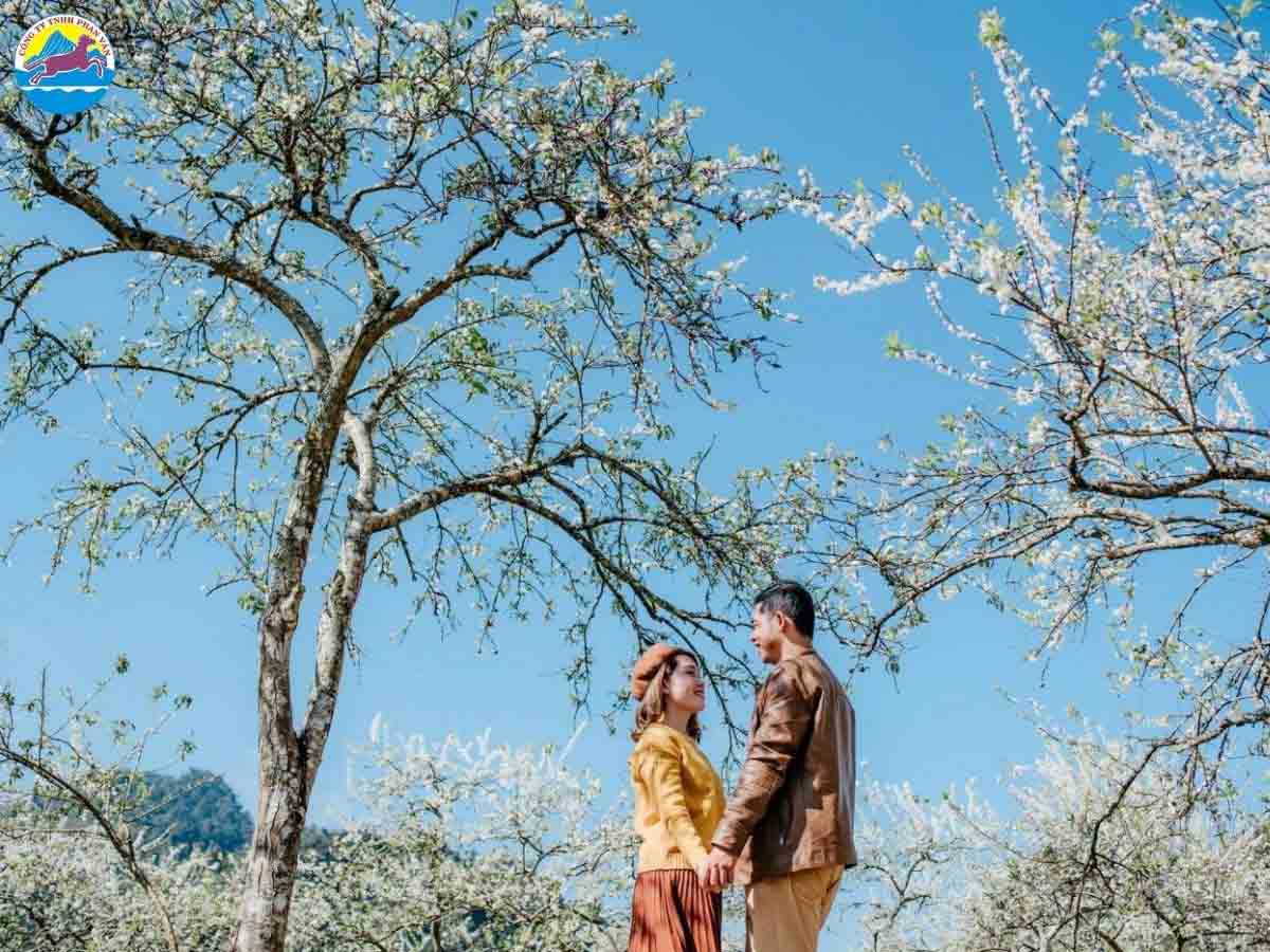 Nếu muốn có nhiều tấm hình đẹp hãy chọn các địa điểm nhiều hoa như miền Bắc