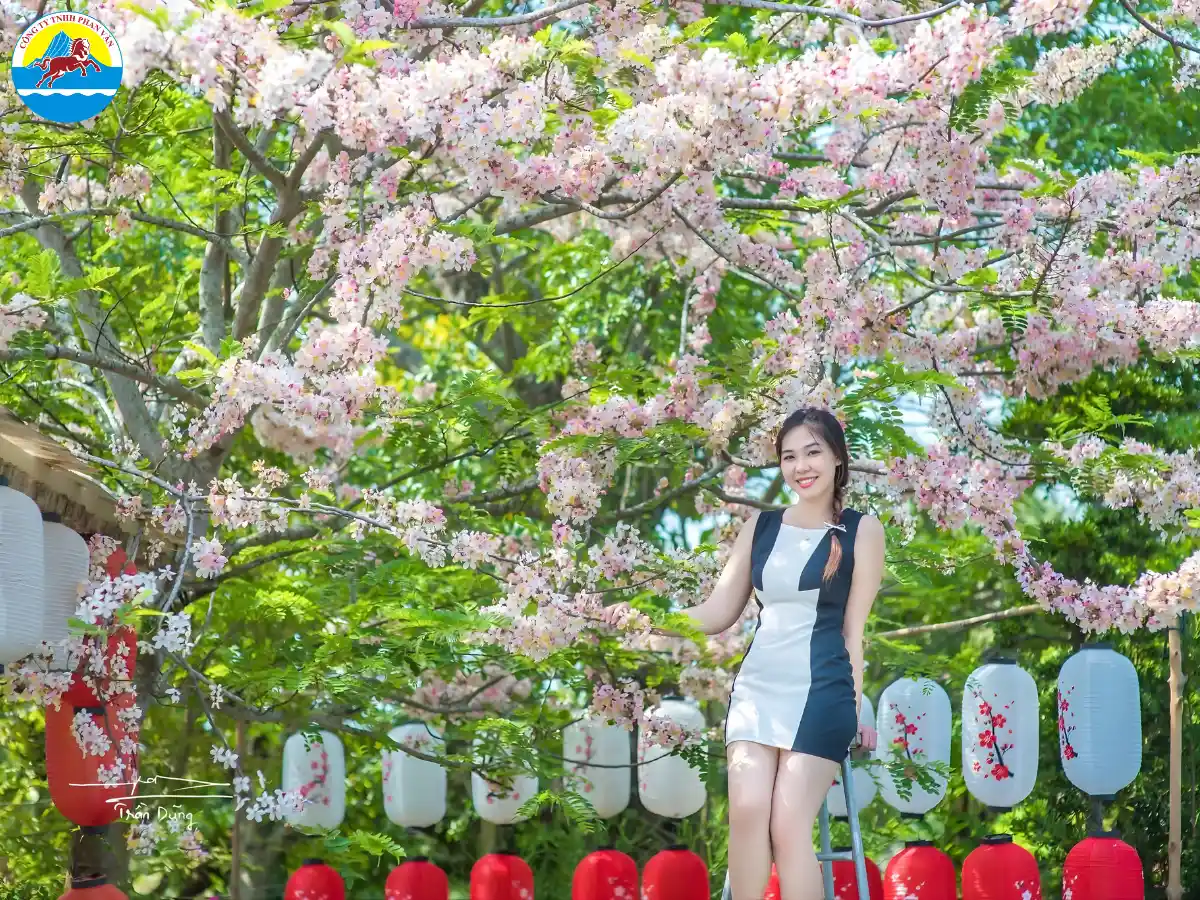 tháng 12 nên đi du lịch ở đâu