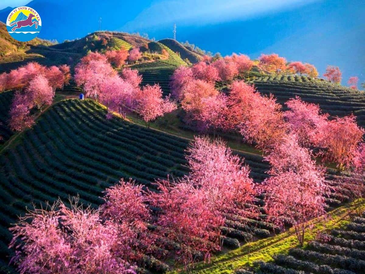 tour du lịch tháng 2​