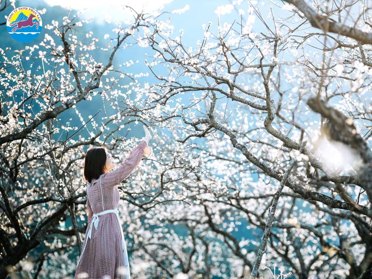 du lịch tháng 2 nên đi đâu​