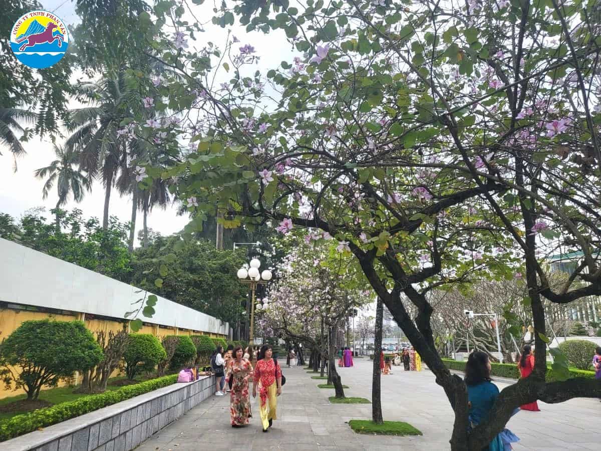 tour du lịch tháng 2