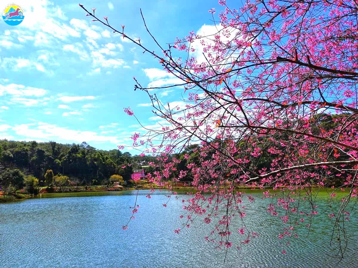 tháng 3 đi du lịch ở đâu​