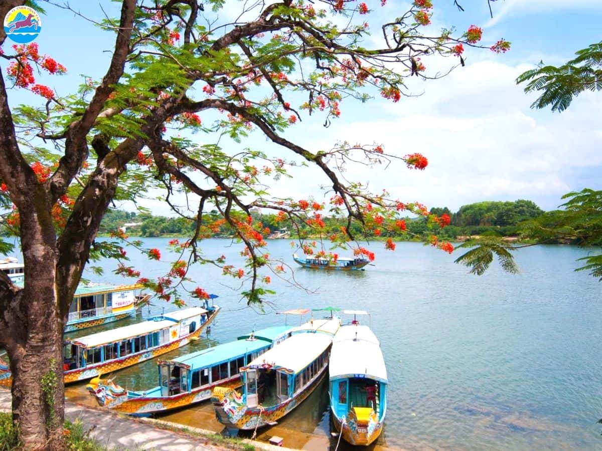 tháng 3 đi du lịch ở đâu đẹp